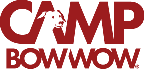 Camp Bow Wow
